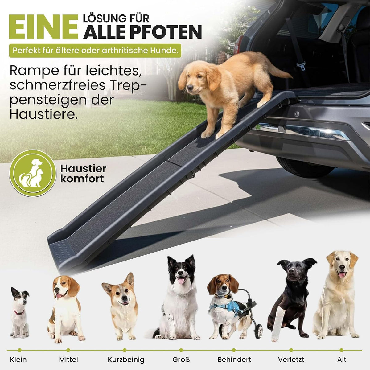 Hunderampe klappbar – Faltbare Auto-Einstiegshilfe für Hunde (90kg)
