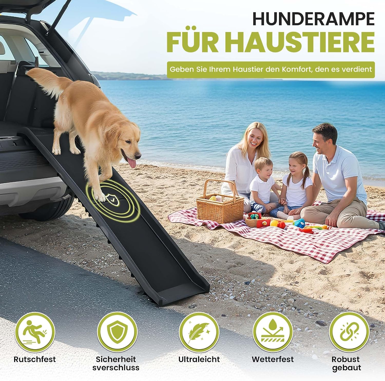 1-B Ware - Hunderampe klappbar; Variante: Premium