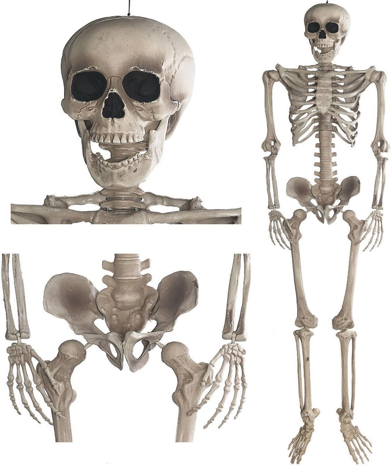 Halloween Skelett 160cm - Bewegliche Ganzkörper-Deko Figur