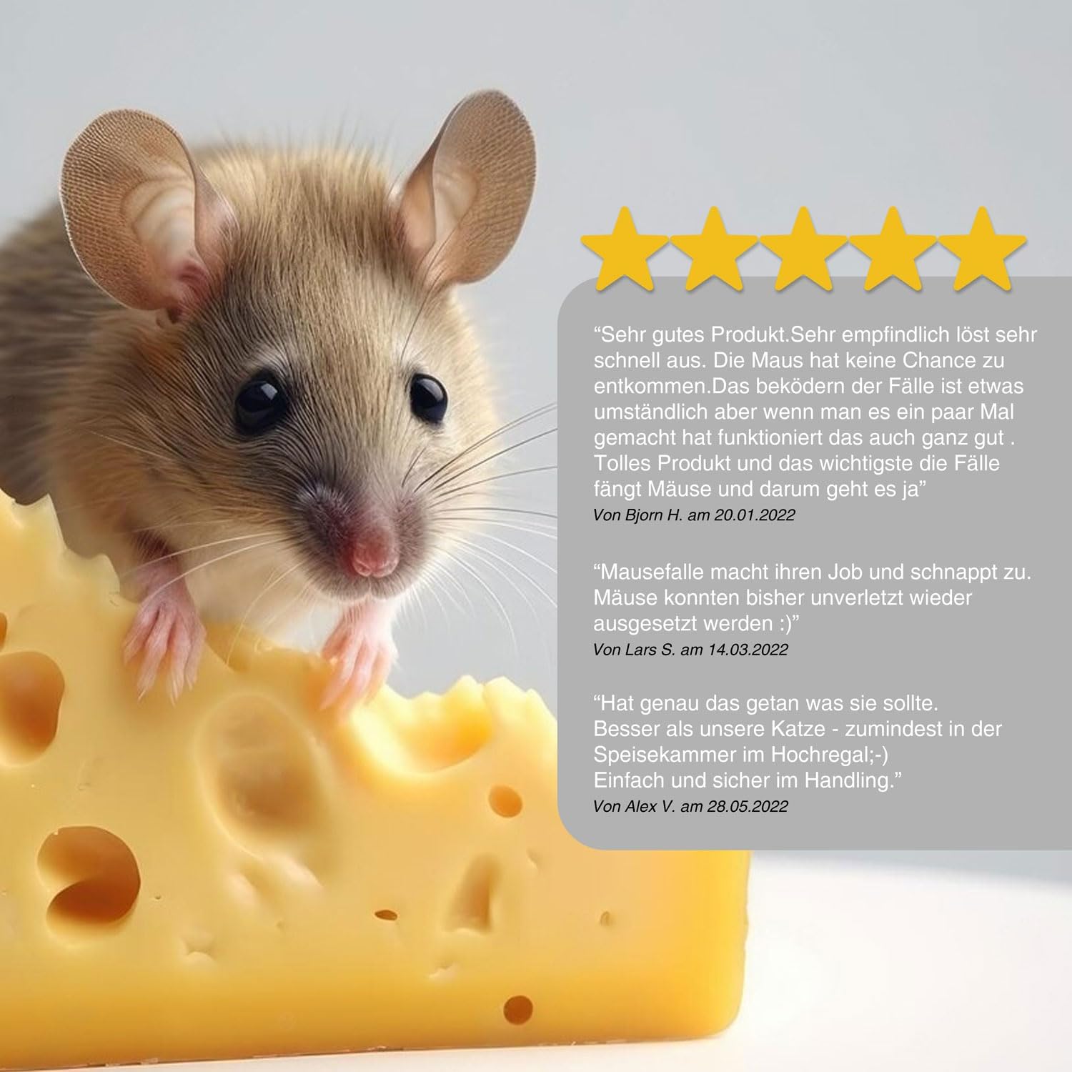 Tierfreundliche Mausefalle 4er Set – Humane Lebendfalle