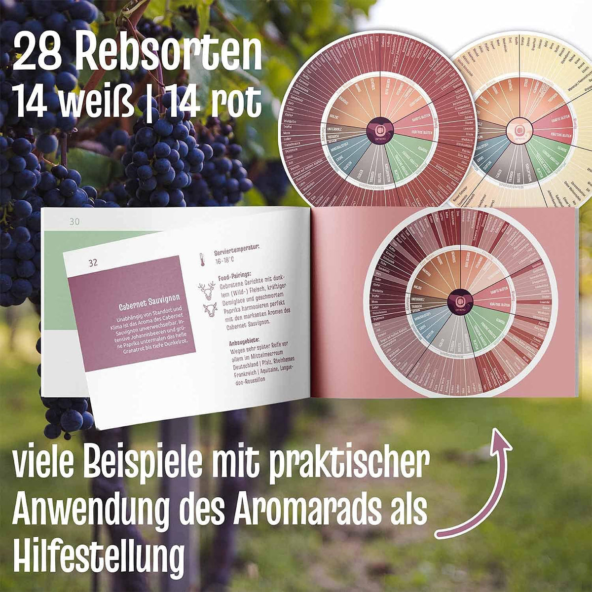 Wein Aromarad Deluxe - Exklusives Sommelier-Tool für Weinliebhaber