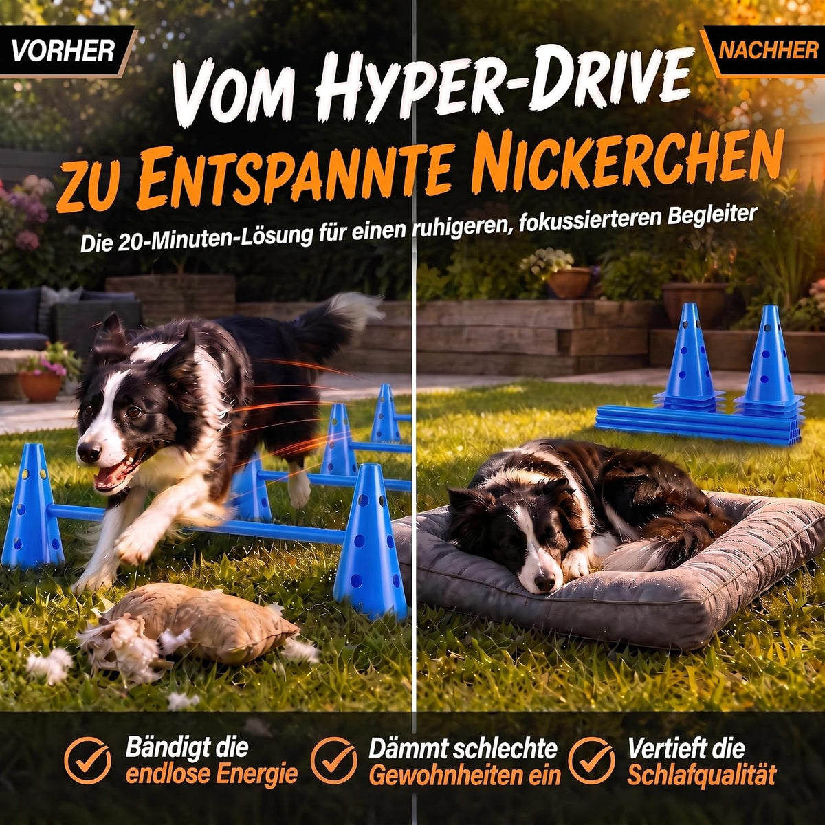 Hunde Agility Tunnel Set 500 cm - Spieltunnel mit Hürden