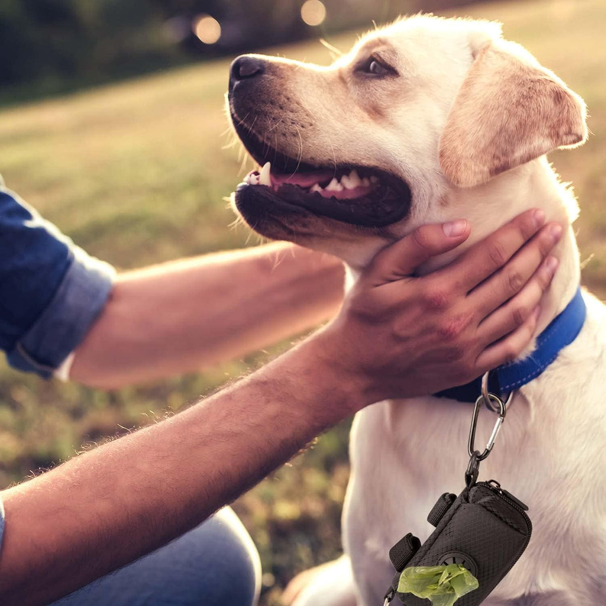 Hundekotbeutelspender mit verstärktem Karabiner für alle Hundeleinen