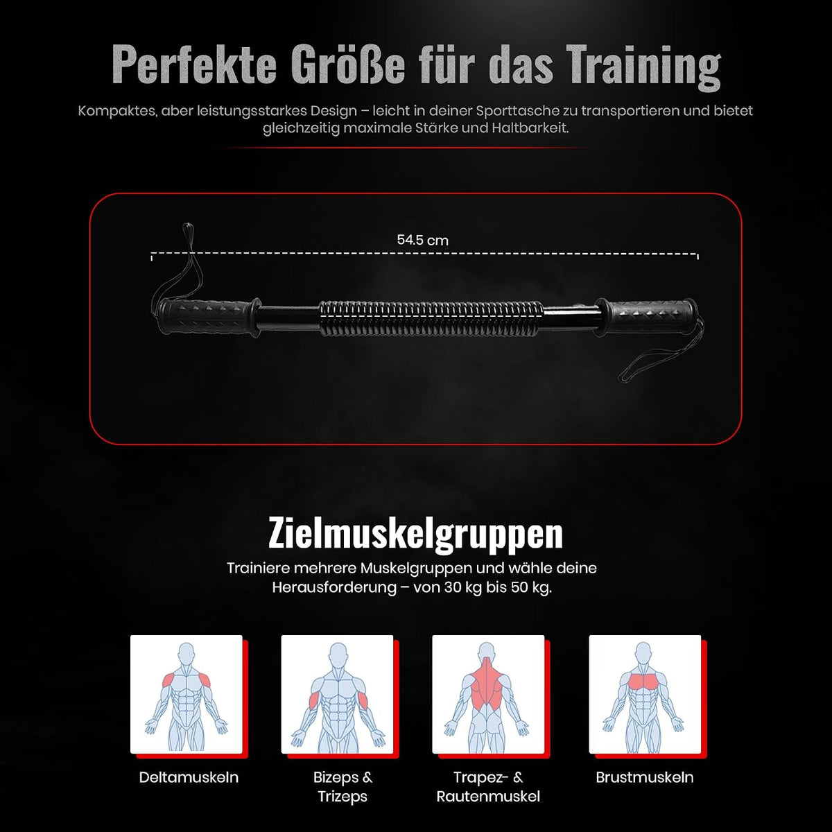 Königsfeder-Biegehantel – Effektiver Armtrainer für Krafttraining