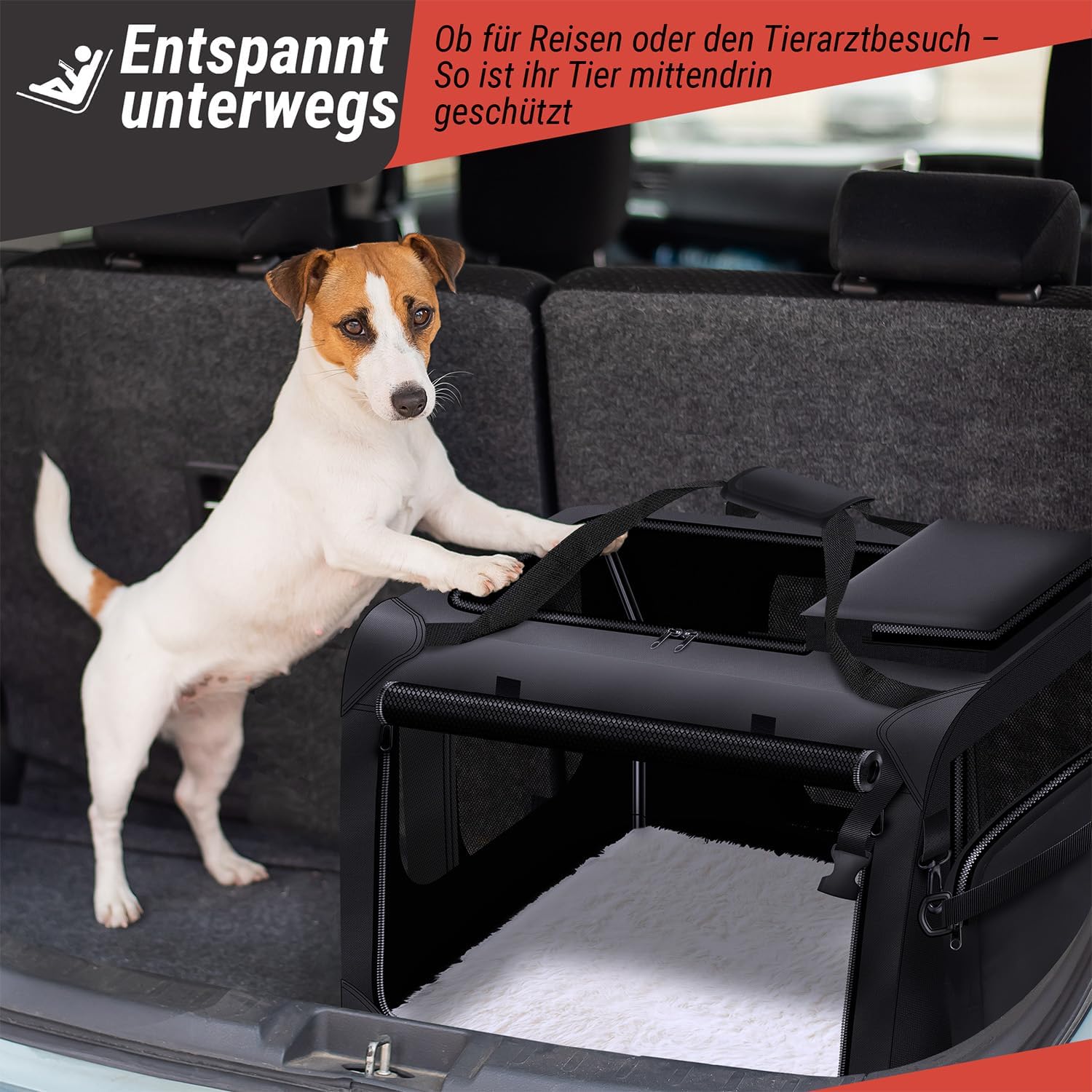 Faltbare Hundetransportbox für das Auto - Stabil & Kompakt